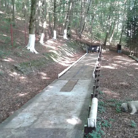 Holiday park Mecsek-lak 3*